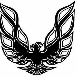 Meet your Posher, Gabe